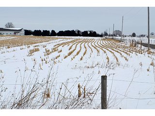 Property photo 28 - AUCTION, 206 Contiguous Acres offered in 5 Tracts